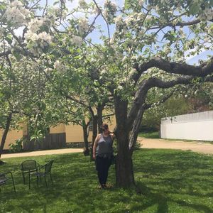 Meet your Posher, Meredith